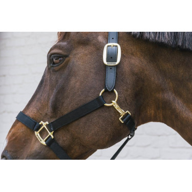 Licol en Nylon Breakaway Kentucky Licol en Nylon Breakaway Kentucky