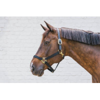 Licol en Nylon Breakaway Kentucky Noir Licol en Nylon Breakaway Kentucky Noir