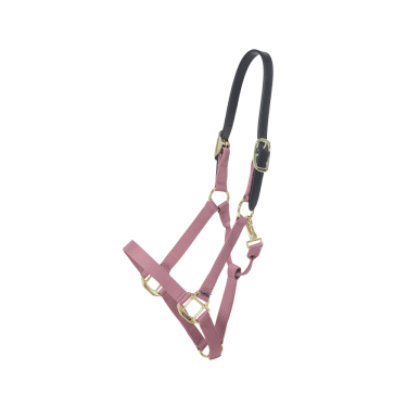 Licol en Nylon Breakaway Kentucky Licol en Nylon Breakaway Kentucky