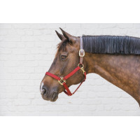 Licol en Nylon Breakaway Kentucky Bordeaux