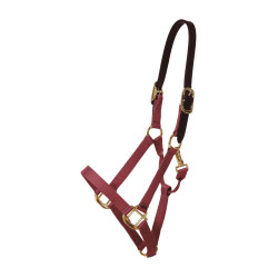 Licol en Nylon Breakaway Kentucky Bordeaux