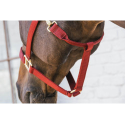 Licol en Nylon Breakaway Kentucky Bordeaux