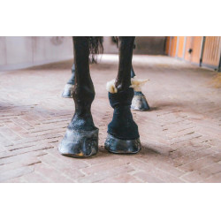 Laine thérapeutique 150g Grooming Deluxe by Kentucky Laine thérapeutique 150g Grooming Deluxe by Kentucky