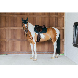 Tapis de selle Kentucky Wave Jumping Vert sapin