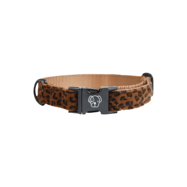Collier pour chien Léopard Kentucky Collier pour chien Léopard Kentucky