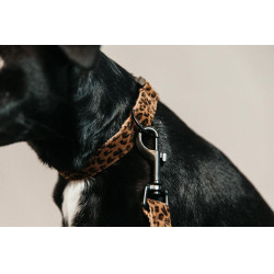 Collier pour chien Léopard Kentucky Marron léopard Collier pour chien Léopard Kentucky Marron léopard