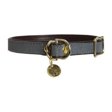 Collier pour chien Loop Kentucky Gris
