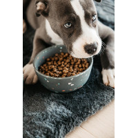 Gamelle pour chien Bamboo Terrazzo Kentucky Gris