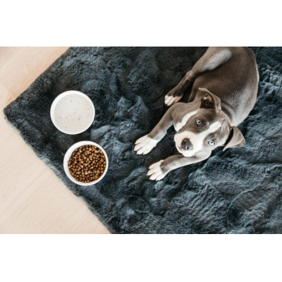 Gamelle pour chien Bamboo Terrazzo Kentucky Blanc