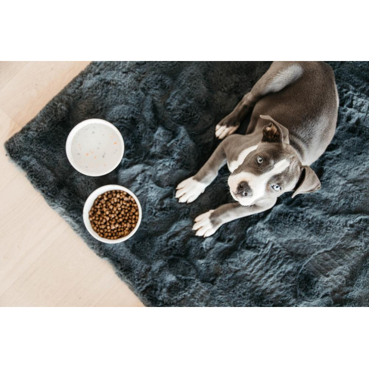 Gamelle pour chien Bamboo Terrazzo Kentucky Gamelle pour chien Bamboo Terrazzo Kentucky