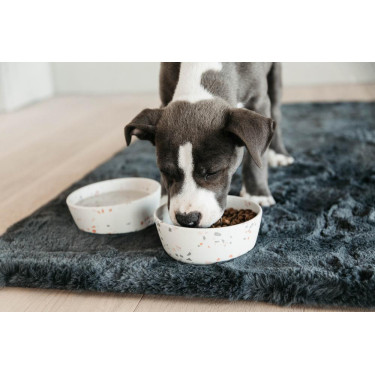 Gamelle pour chien Bamboo Terrazzo Kentucky Gamelle pour chien Bamboo Terrazzo Kentucky