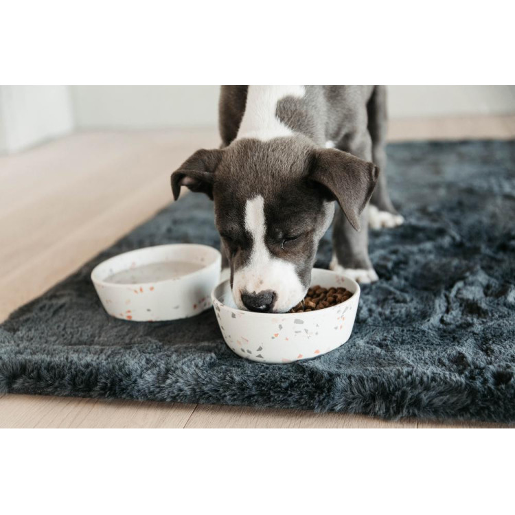 Gamelle pour chien Bamboo Terrazzo Kentucky Gamelle pour chien Bamboo Terrazzo Kentucky