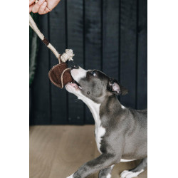 Jouet pour chien Cotton Rope Baseball Kentucky