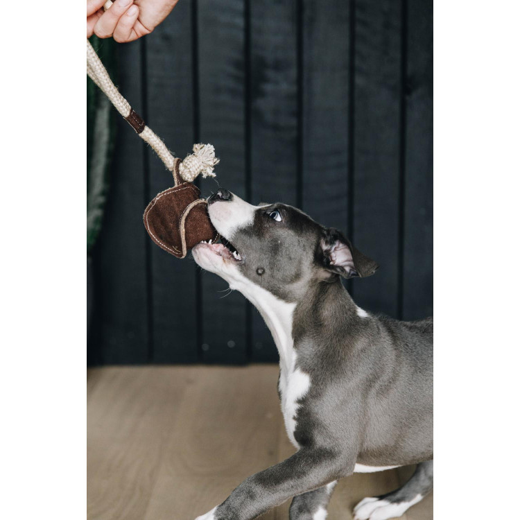 Jouet pour chien Cotton Rope Baseball Kentucky