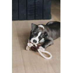 Jouet pour chien Cotton Rope Baseball Kentucky Marron