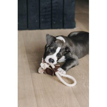 Jouet pour chien Cotton Rope Baseball Kentucky Jouet pour chien Cotton Rope Baseball Kentucky