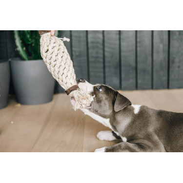 Jouet pour chien Cotton Rope Pineapple Kentucky Jouet pour chien Cotton Rope Pineapple Kentucky