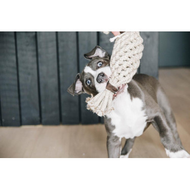 Jouet pour chien Cotton Rope Pineapple Kentucky Jouet pour chien Cotton Rope Pineapple Kentucky