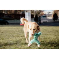 Jouet pour chien Pastel Bone Kentucky Emeraude