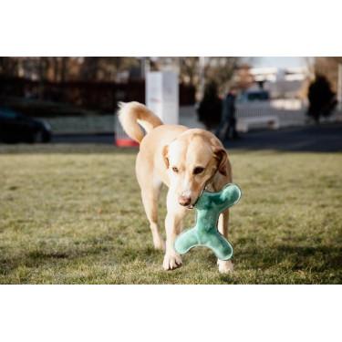 Jouet pour chien Pastel Bone Kentucky Emeraude Vert