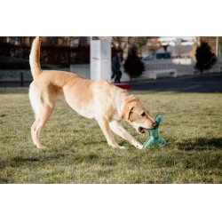 Jouet pour chien Pastel Bone Kentucky Emeraude Vert