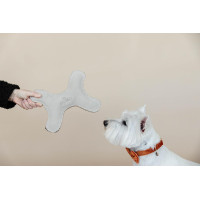Jouet pour chien Pastel Bone Kentucky Crème