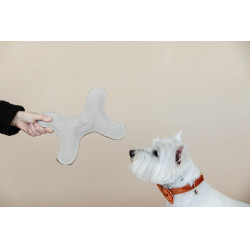 Jouet pour chien Pastel Bone Kentucky