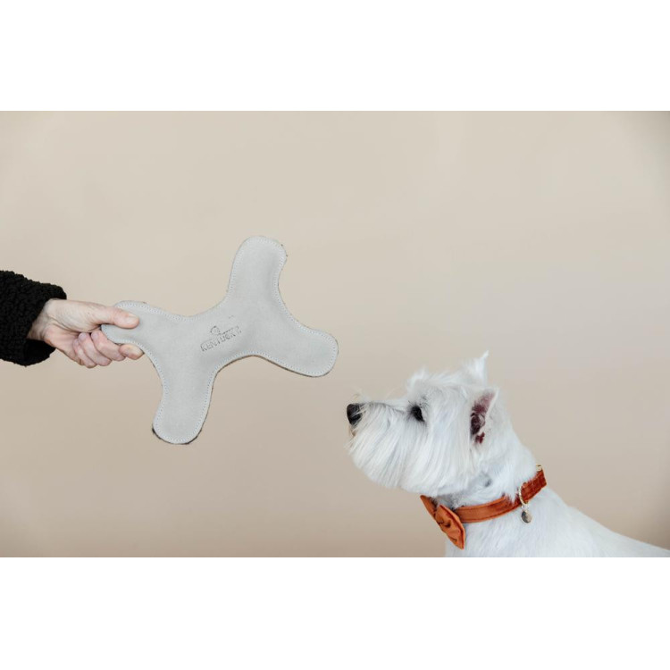 Jouet pour chien Pastel Bone Kentucky Jouet pour chien Pastel Bone Kentucky
