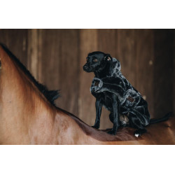 Manteau pour chien Fausse Fourrure Kentucky Gris Manteau pour chien Fausse Fourrure Kentucky Gris