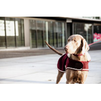 Manteau pour chien Heavy Fleece Kentucky Bordeaux Manteau pour chien Heavy Fleece Kentucky Bordeaux