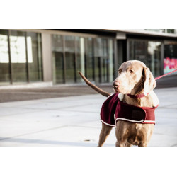 Manteau pour chien Heavy Fleece Kentucky Bordeaux