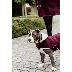 Manteau pour chien Heavy Fleece Kentucky Bordeaux