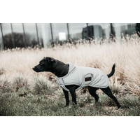 Manteau pour chien Kentucky réfléchissant & déperlant avec protection ventrale Argent
