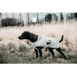 Manteau pour chien Kentucky réfléchissant & déperlant avec protection ventrale