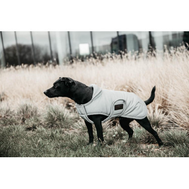 Manteau pour chien Kentucky réfléchissant & déperlant avec protection ventrale Manteau pour chien Kentucky réfléchissant & déperlant avec protection ventrale