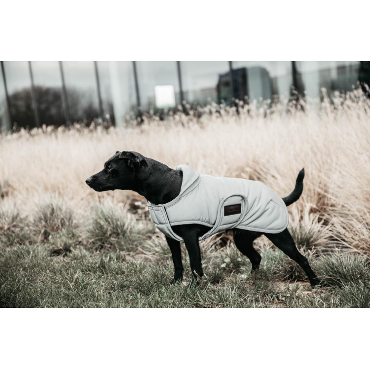 Manteau pour chien Kentucky réfléchissant & déperlant avec protection ventrale