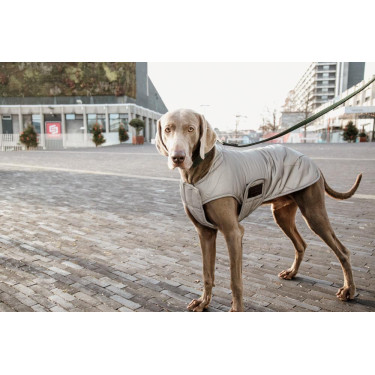 Manteau pour chien Kentucky réfléchissant & déperlant avec protection ventrale Manteau pour chien Kentucky réfléchissant & déperlant avec protection ventrale