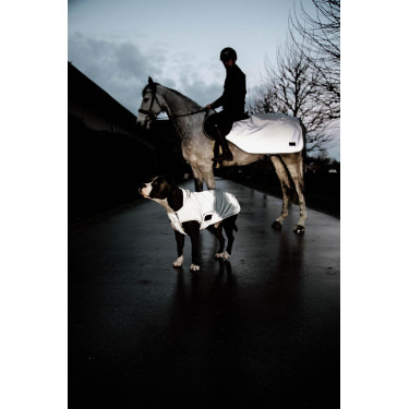 Manteau pour chien Kentucky réfléchissant & déperlant avec protection ventrale Manteau pour chien Kentucky réfléchissant & déperlant avec protection ventrale