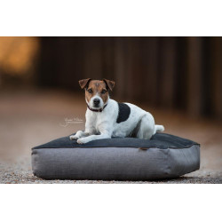 Lit pour chien Soft Pillow Kentucky