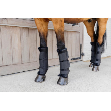 Stable Boots Kentucky PROtect Classic Front Noir