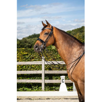Bride Dy'on Muserolle Large Vernie collection dressage cuir rond Noir Bride Dy'on Muserolle Large Vernie collection dressage cuir rond Noir
