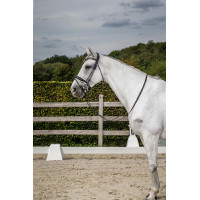 Bridon Dy'on collection dressage cuir rond Muserolle Combinée Large Vernie Doublure Blanche Noir
