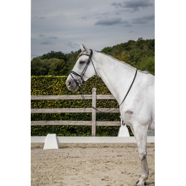 Bridon Dy'on collection dressage cuir rond Muserolle Combinée Large Vernie Doublure Blanche Bridon Dy'on collection dressage cuir rond Muserolle Combinée Large Vernie Doublure Blanche