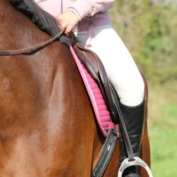 Tapis de selle Rider Harcour Karembar Blush Rose Tapis de selle Rider Harcour Karembar Blush Rose