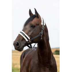 Licol Howard Crescendo Horze Noir Licol Howard Crescendo Horze Noir