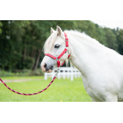 Licol Aymee HKM Rouge Licol Aymee HKM Rouge