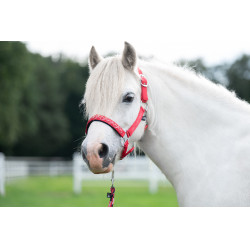 Licol Aymee HKM Rouge Licol Aymee HKM Rouge