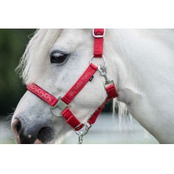 Licol Aymee HKM Rouge Licol Aymee HKM Rouge