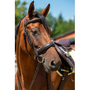 Bridon Hunter 2 HKM Bridon Hunter 2 HKM