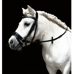 Bridon Mini Shetty HKM Noir